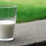 La leche sí puede seguir en la dieta adulta, según la ciencia