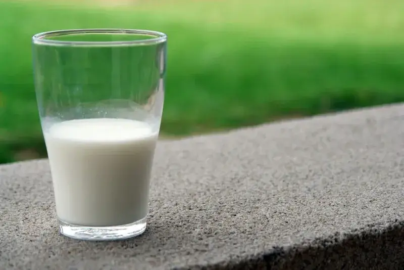 La leche sí puede seguir en la dieta adulta, según la ciencia