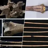 Huesos de princesas egipcias revelan uso real de armas