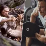 Un gen neandertal explicaría más músculo en algunos humanos
