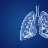 
				10 curiosidades de los pulmones | No solo sirven para respirar			