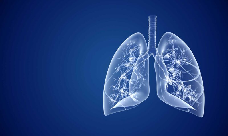 
				10 curiosidades de los pulmones | No solo sirven para respirar			