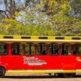 
				Tranvía de Maracaibo celebra su reencuentro con la ciudad con una fiesta en Vereda del Lago			