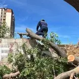 Maracaibo amanece sin daños graves tras 4 horas de lluvia