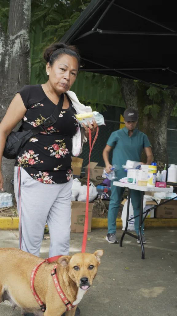 Animales quedan traumatizados tras los sismos en Caracas y La Guaira