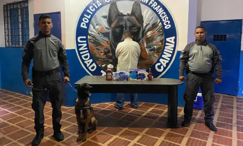 Detienen a sexagenario que robó en ferretería de San Francisco