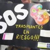 Proponen empezar a dotar dos hospitales para reactivar trasplantes