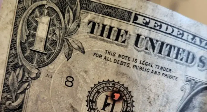 File:American dollar with burn in it.jpg