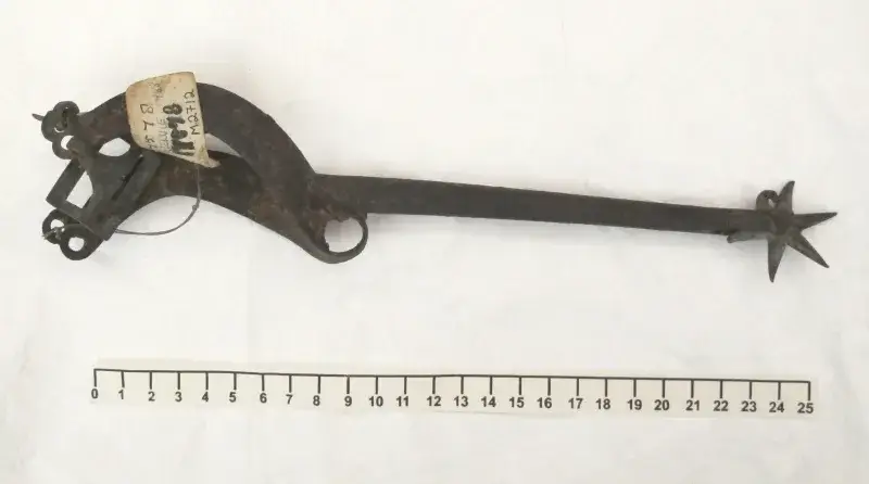 File:Spur (AM 1932.233-2).jpg
