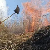 Gran incendio consume 250 hectáreas del parque nacional Henri Pittier