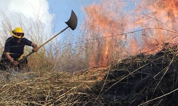 Gran incendio consume 250 hectáreas del parque nacional Henri Pittier