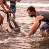 Vecinos de Los Dos Delfines reportan nuevos daños en La Guaira