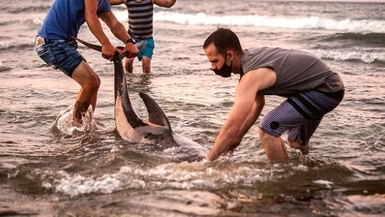 Vecinos de Los Dos Delfines reportan nuevos daños en La Guaira