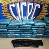 
				Capturado quincuagenario que estafaba a narcotraficantes con panelas de droga falsas			