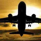 
			Hallan a un polizón con vida que viajaba en el tren de aterrizaje de un avión		
