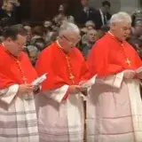File:Cardenales 2.png