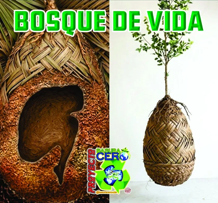 Proyecto en Puerto Ordaz propone transformar cementerios en bosques