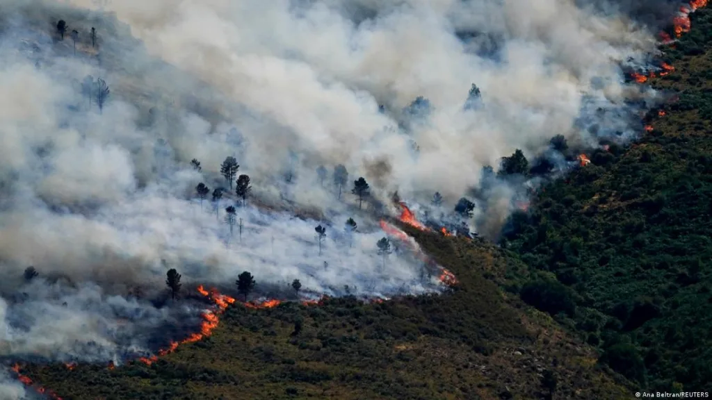 Incendios forestales obligan a evacuaciones masivas en el sur