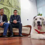 Presidente de Bolivia agradece a Maduro por regalarle un perro mucuchíes
