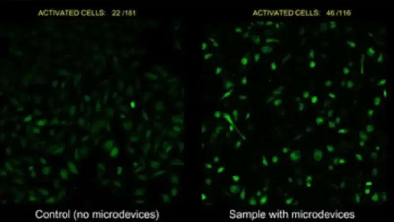 Microdispositivos activan células con ultrasonidos y apuntan a terapias más precisas