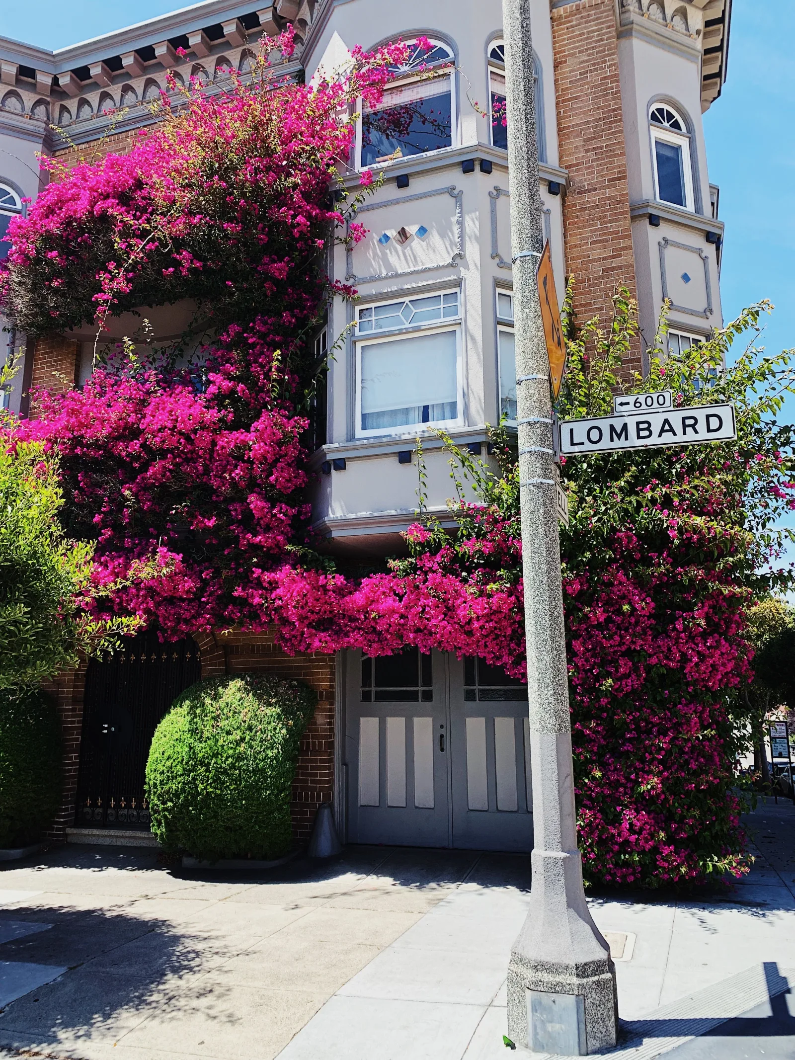 Bougainvillea adorned building on San Francisco's iconic Lombard Street, showcasing vibrant urban flora.