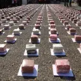 Panamá incauta 600 paquetes de droga en dos operativos