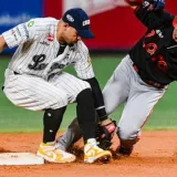 Se juega la octava semana de LVBP
