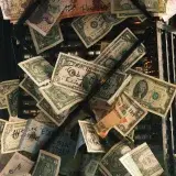 A collection of various international currency notes showcased in an artistic arrangement.