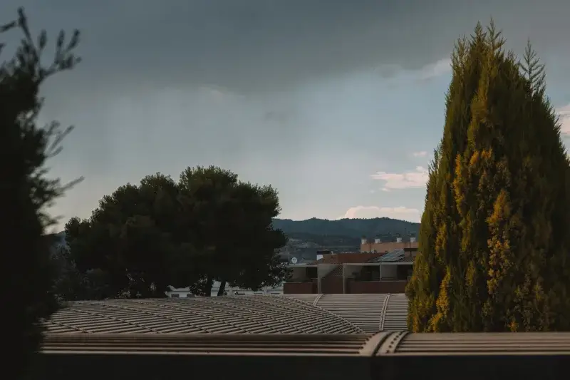 A view of Valencia's urban landscape with cypress trees and rain clouds hinting at an impending storm.