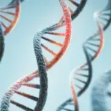 Anthropic opera un laboratorio de biología para validar
