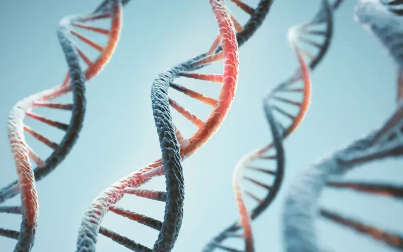 Anthropic opera un laboratorio de biología para validar
