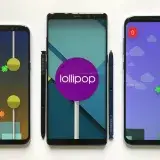 File:Android Lollipop Easter egg.jpg