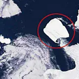 
			El iceberg más grande del mundo se dirige a mar abierto		