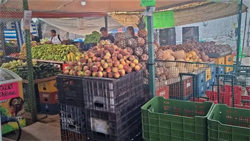 Ferieros andinos donan alimentos tras el sismo y alivian a damnificados en La Guaira