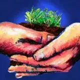 Los beneficios de ensuciarse las manos con tierra para la salud