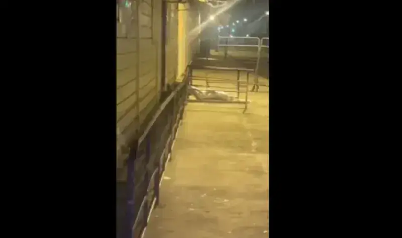 Quedan seis motines carcelarios activos en Ecuador 