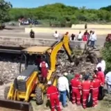 Inician recuperación de manglares en el Lago de Maracaibo
