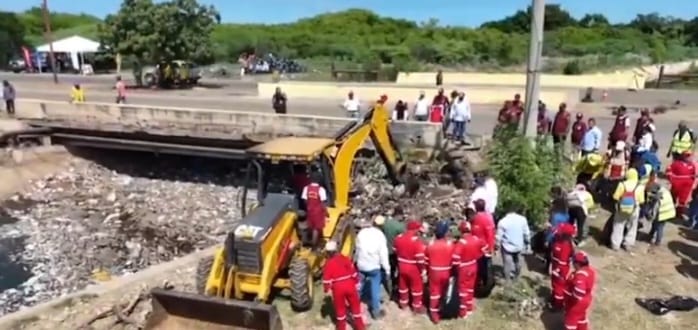 Inician recuperación de manglares en el Lago de Maracaibo