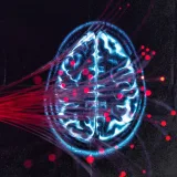 Schizophrenia: How blood vessel growth in the brain may be a factor