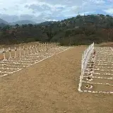 Terán confirma entierros individuales en La Guaira