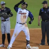 Yermín Mercedes comanda triunfo de Tigres ante Leones