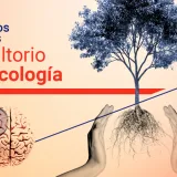 Celos tras una ruptura, adolescencia violenta y duelo con soledad, temas del consultorio de Psicología