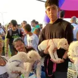 Vacunarán gratis a perros y gatos contra la rabia en Maracaibo