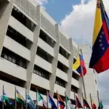 TSJ activa tres números para denunciar casos de menores extraviados tras los sismos