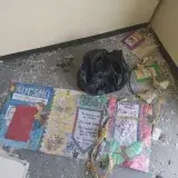 La tragedia invisible de 760 niños autistas tras los sismos