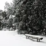 A serene snow-covered bench amidst winter trees in Collado Villalba, Spain.