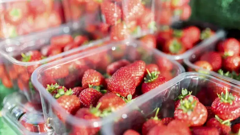 Fresas españolas tienen menos pesticidas que Europa