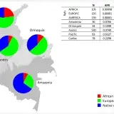 File:African, European and Native American membership proportions in samples from the five continental regions of Colombia.PNG