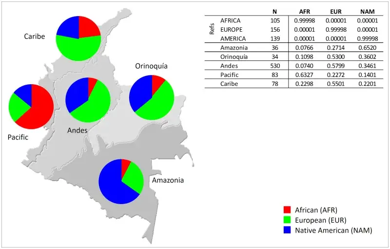 File:African, European and Native American membership proportions in samples from the five continental regions of Colombia.PNG