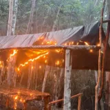 Fanb desmantela ocho campamentos Tancol y dos laboratorios de drogas en Zulia